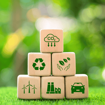 The Environmental Benefits of Woodworking: A Sustainable Choice for Home Décor
